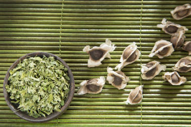 辣木-辣木的种子和干树叶