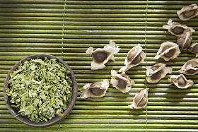 辣木-辣木的种子和干树叶