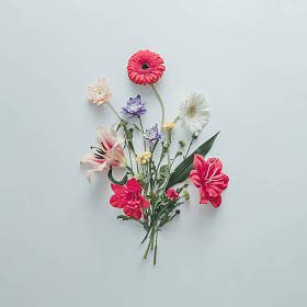 各种花卉的创意布局。平放花束。爱 