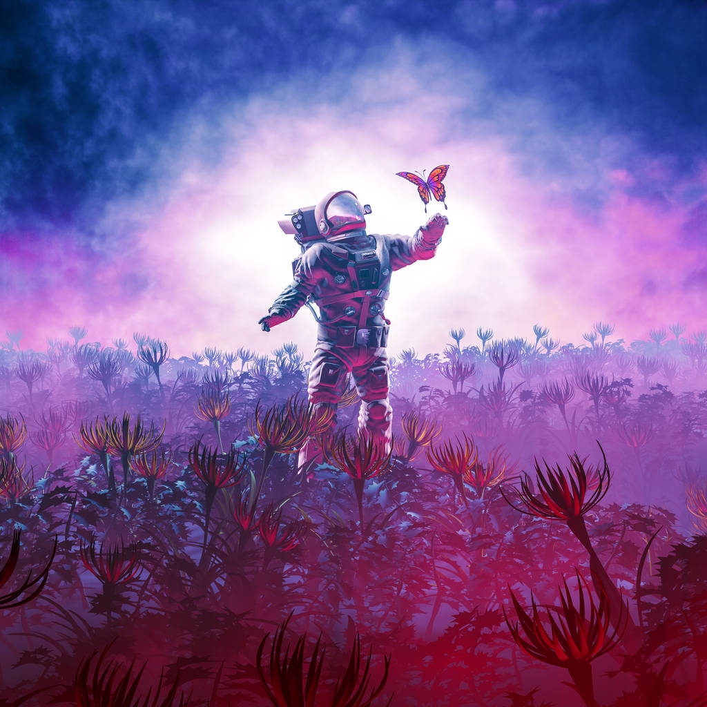 实地考察/ 3D宇航员在外星风景中遇到蝴蝶