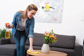 有吸引力的妇女与抹布和消毒喷雾清洁家庭