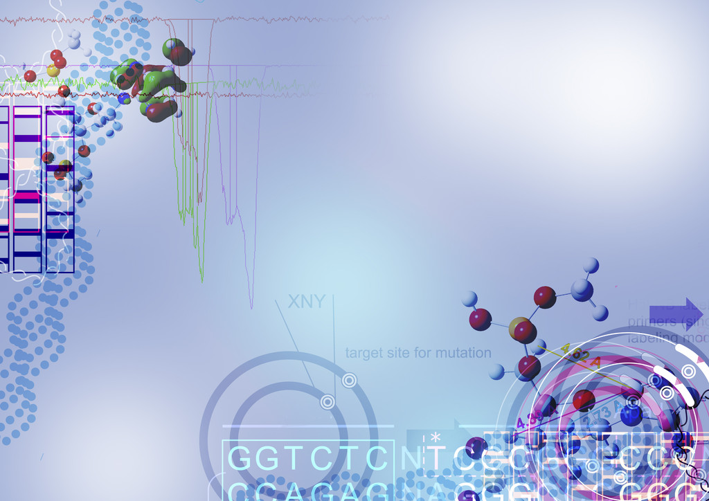 分子生物学照片