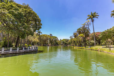 巴西米納斯吉拉斯州貝洛奧里藏特城市公園景