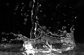 水溅在黑色背景上