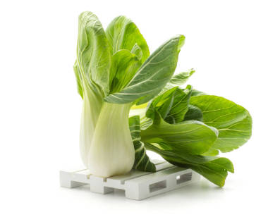 兩白菜 (白沙) 在白色 backgroun 上的托盤上