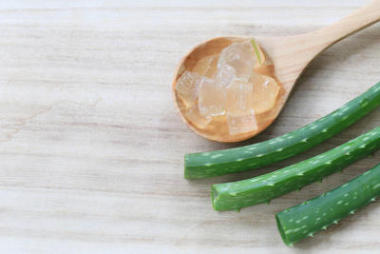 木地板鮮蘆薈片