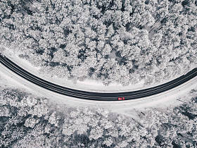 雪林公路无人机鸟瞰图片
