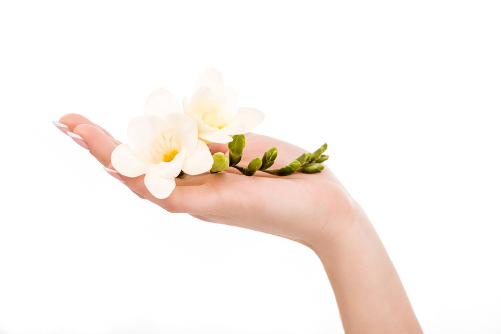 女性手持小的部分视角, 白色隔离