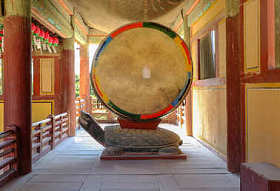 大鼓站在龟图片