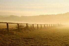 域上的日出图片