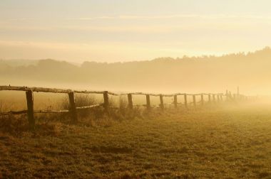 域上的日出图片