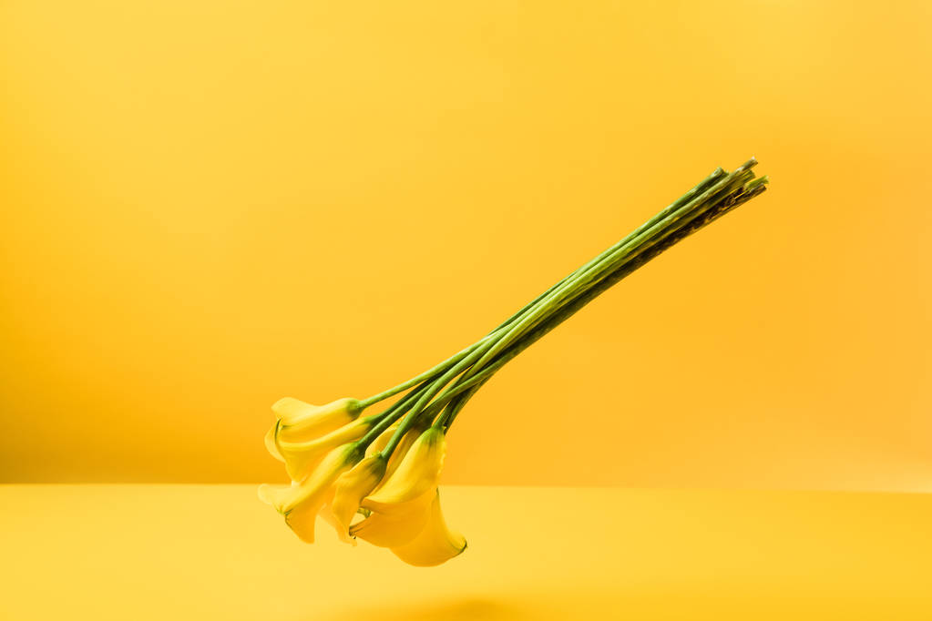 黄色的美丽嫩黄色春天花 黄色的美丽嫩黄色春天花