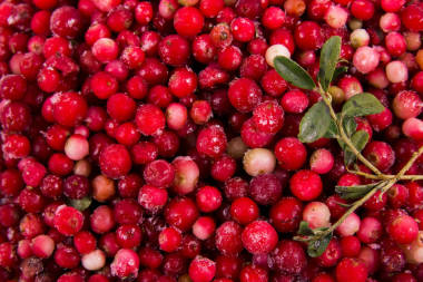 橘, 森林浆果橘