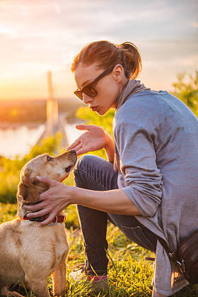 狗坐在草地上听主人
