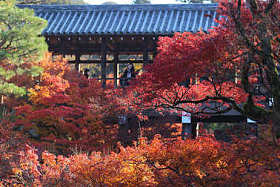 京都 Tofuku 纪寺秋图片