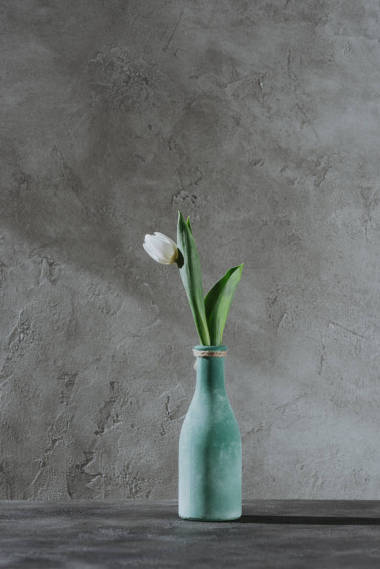 蓝色花瓶上的白色春天郁金香在灰色表面