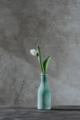 蓝色花瓶上的白色春天郁金香在灰色表面