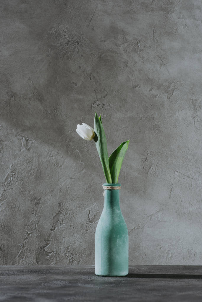 蓝色花瓶上的白色春天郁金香在灰色表面