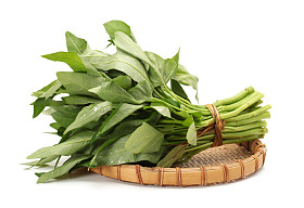 孤立在白色背景上的水菠菜