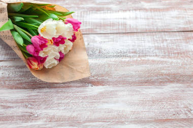 美麗的春天的郁金香