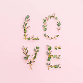 词爱由桉树树枝在粉红色背景。情人节的概念。平躺, 顶部视图