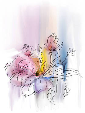 色彩鲜艳的花卉背景图片