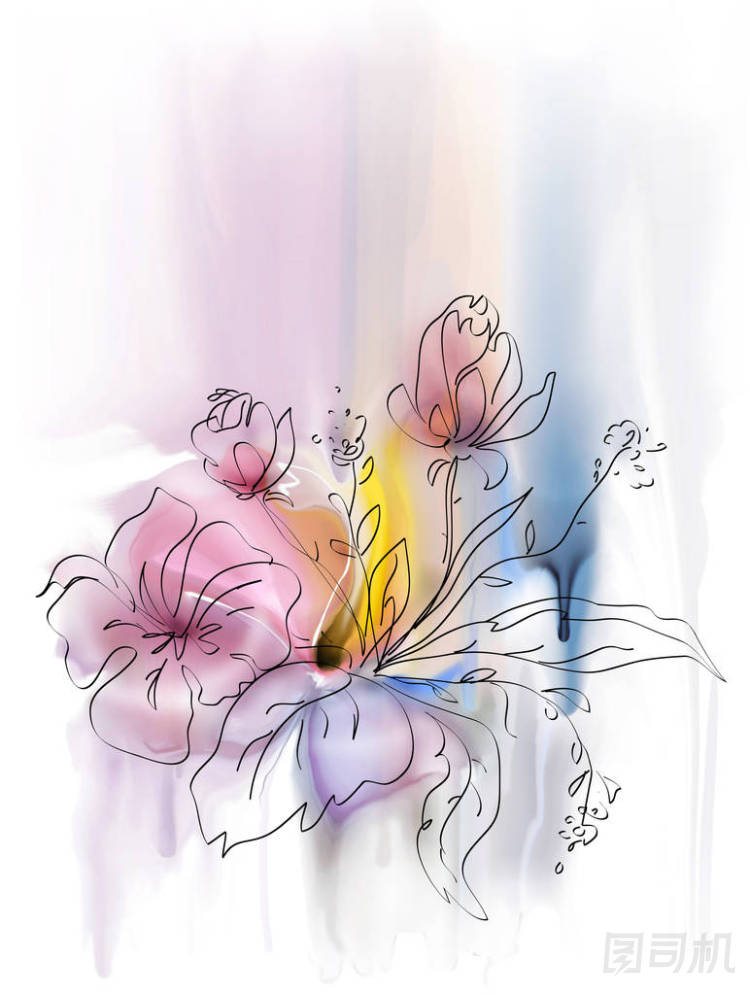 色彩鮮艷的花卉背景圖片