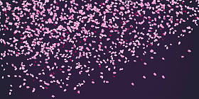 弹簧卡。樱桃花花瓣。日语主题