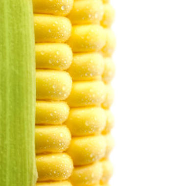 玉米成熟滴/隔離/極端馬