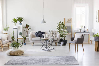 寬敞的花卉起居室圖片