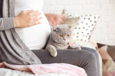 懷孕的年輕婦女與逗人喜愛的寵物貓?jiān)诖苍诩?>
                    </a>
                    <div   id=