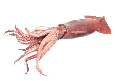 好鮮魷