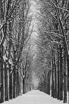 寒冷的冬天在一个城市, 巴黎