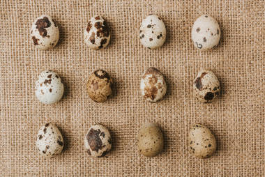 鵪鶉蛋躺在一排麻布上