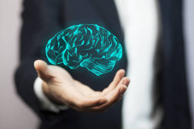 知識(shí)產(chǎn)權(quán)保護(hù)