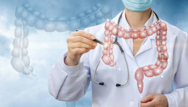 醫(yī)生繪制結(jié)腸模型.圖片