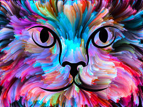 动物的颜色图片