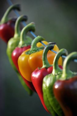 在繩子上的甜椒