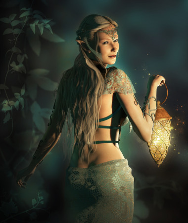 跟著我進林地的境