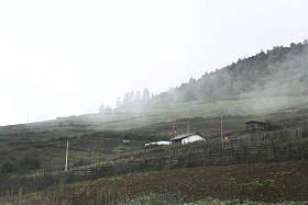 乡村景观照片