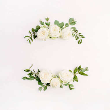 白玫瑰花芽和桉树白色背景花框架花圈。平躺, 顶部查看样机