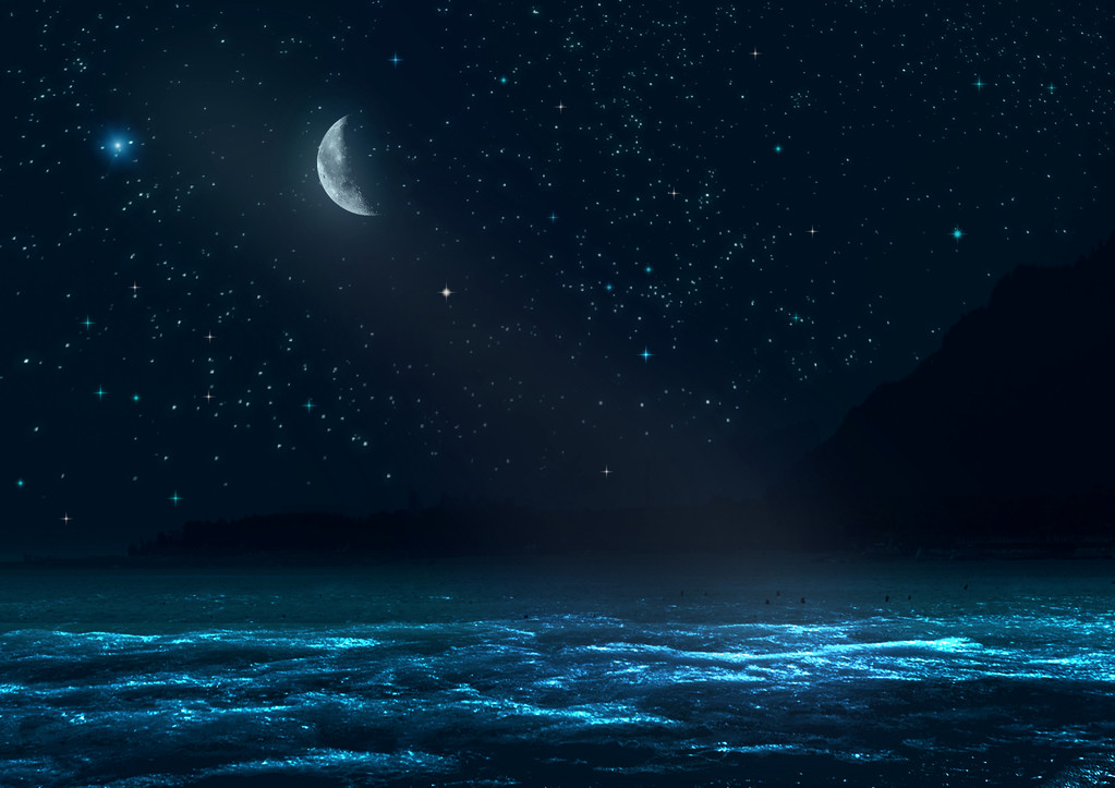 夜景景观图片