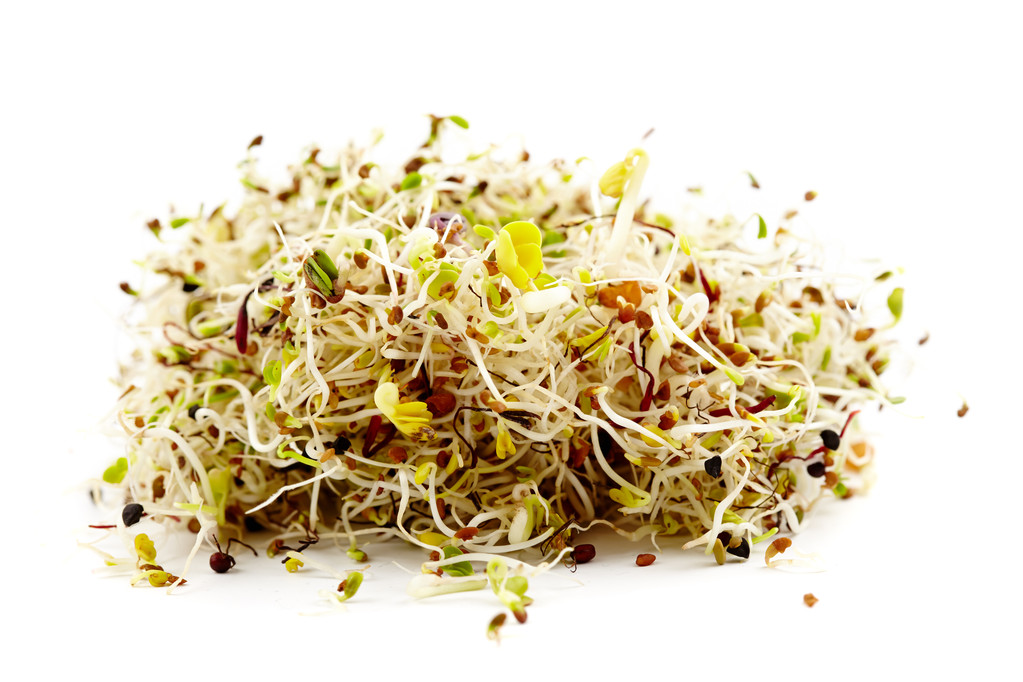 各种胚芽豆芽