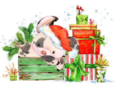 中國的豬年。新年賀卡。水彩卡通小豬插圖。冬季假期手畫背景