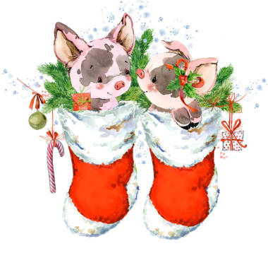 中国的猪年。新年贺卡。水彩卡通小猪插图。冬季假期手画背景