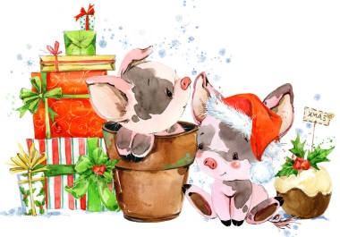 中国的猪年。新年贺卡。水彩卡通小猪插图。冬季假期手画背景