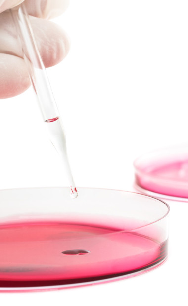 培養(yǎng)皿圖片