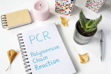 在白表筆記本上編寫的 Pcr 聚合酶鏈反應(yīng)