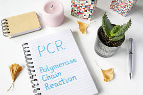 在白表笔记本上编写的 Pcr 聚合酶链反应