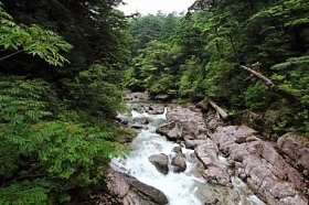 日本屋久岛岛自然游憩林之一 Yakusugiland 公园河的主要景